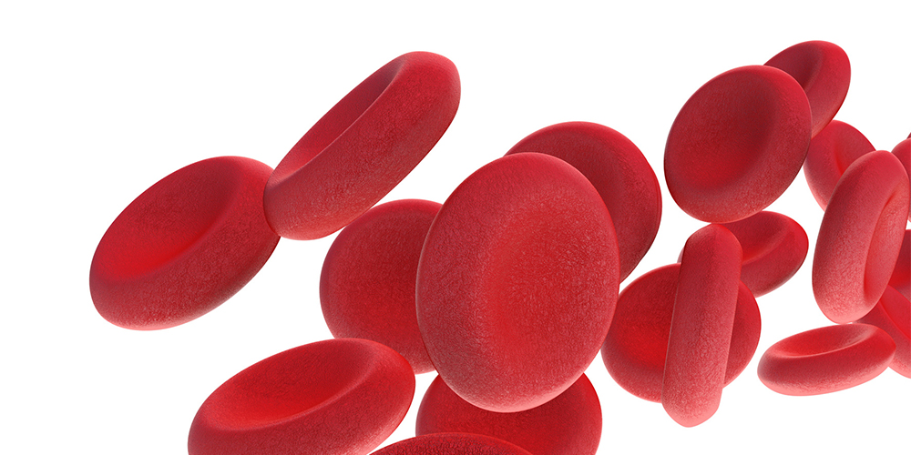 Hematologa