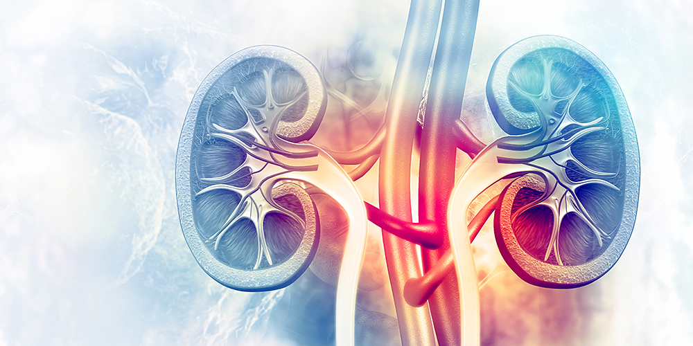 Nephrology